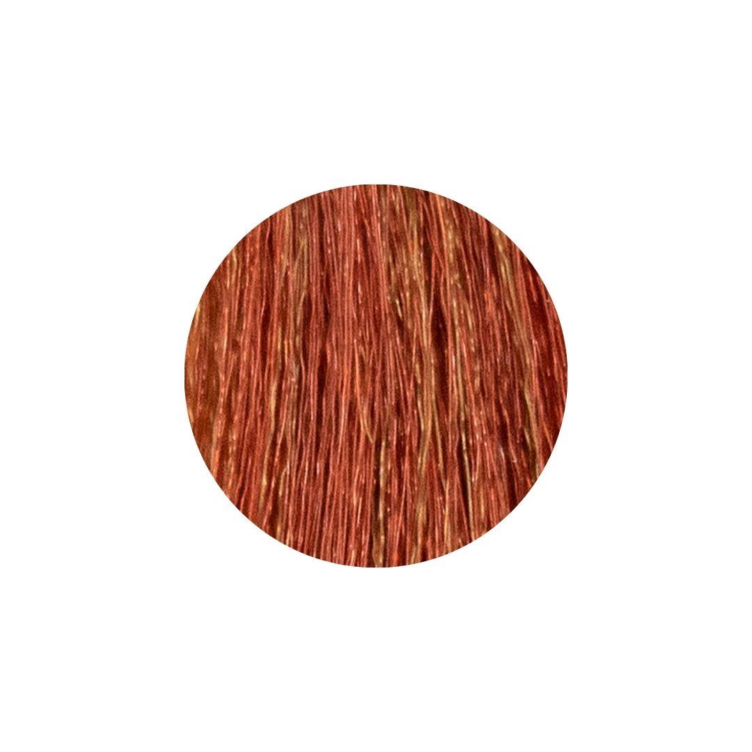 REF Stockholm Permanent Colour 100ml