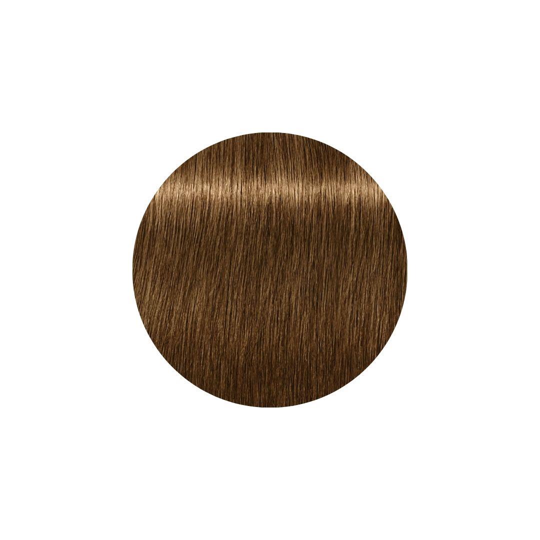 Schwarzkopf Professional Igora Royal Absolute 60ml
