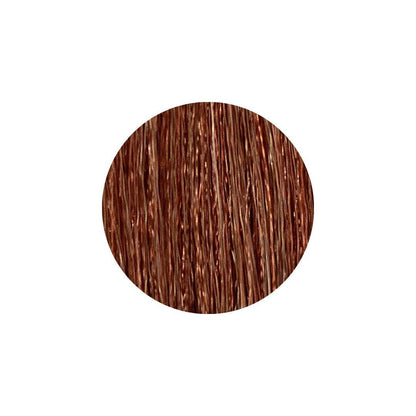 REF Stockholm Permanent Colour 100ml