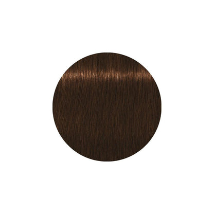 Schwarzkopf Professional Igora Royal Absolute 60ml