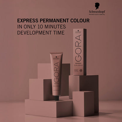 Schwarzkopf Professional Igora Royal Color10 60ml