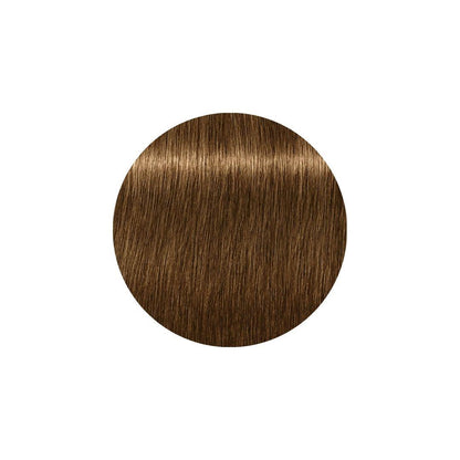 Schwarzkopf Professional Igora Royal Absolute 60ml